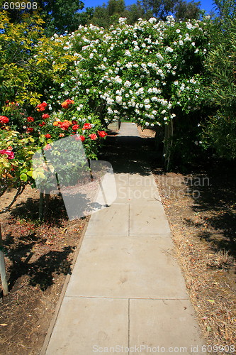 Image of Garden Arbor