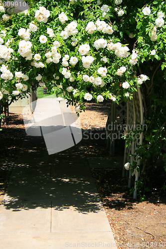 Image of Garden Arbor