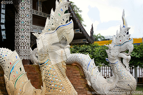 Image of White dragon