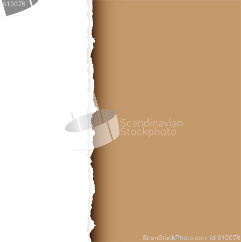 Image of brown tear divide