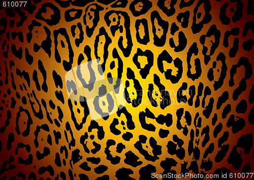 Image of jaguar skin