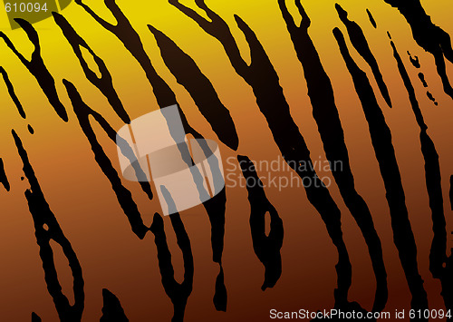 Image of tiger skin
