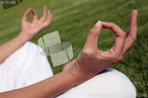 Image of Meditation on a Lawn