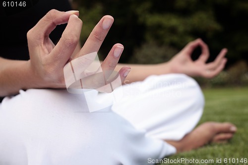 Image of Meditation on a Lawn