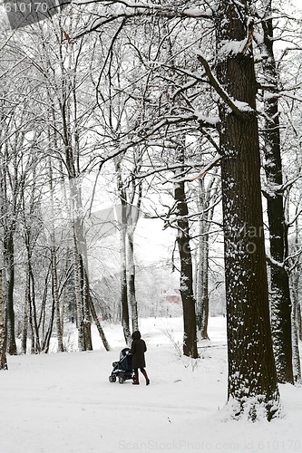 Image of mother with child in sidercar walk in winter park