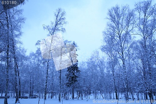 Image of winter morning in park