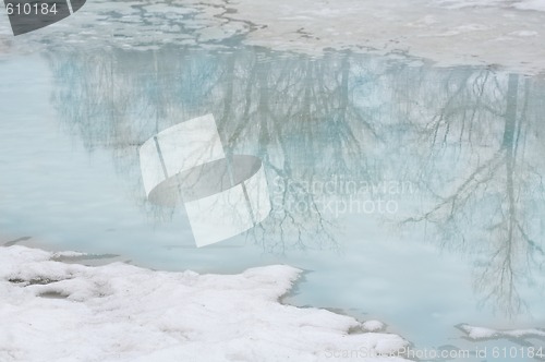 Image of early springtime