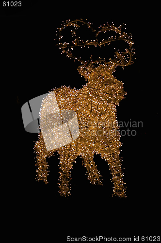 Image of Reindeer