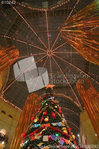 Image of christmas tree