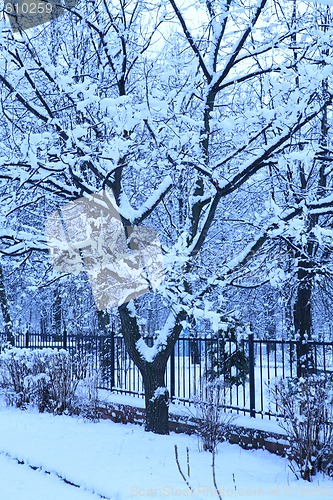 Image of blue morning after snowfall