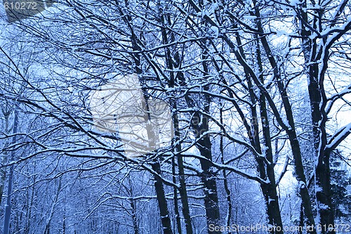 Image of blue morning after snowfall