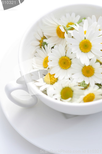 Image of camomille tea