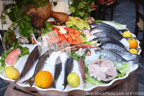 Image of Greek fish taverna seafood display