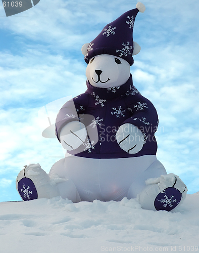 Image of Winter Bear