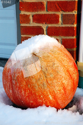 Image of Frost on the Pumpkin