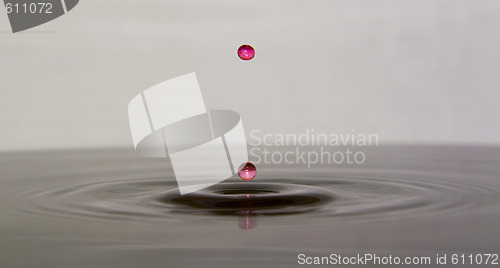 Image of Water droplets