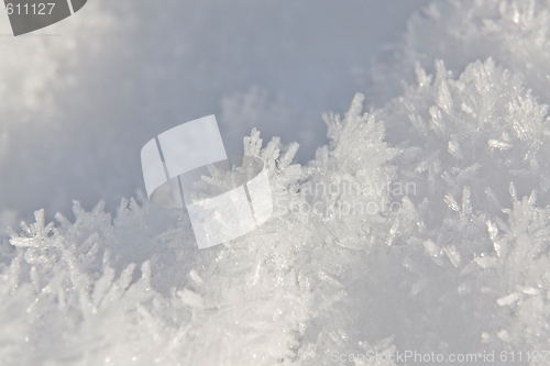 Image of Snow Crystal