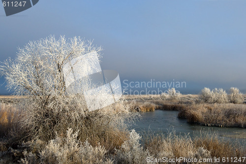 Image of Rural Idaho