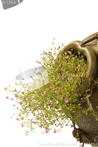 Image of ceramic pot Greek style with small pink flowers