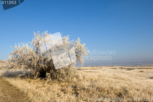 Image of Rural Idaho