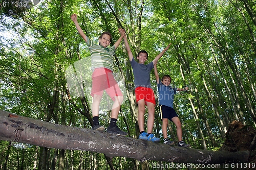 Image of playing in the forest