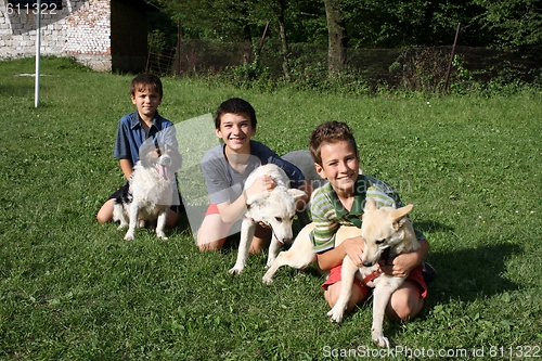 Image of boys and dogs