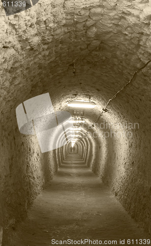 Image of The path to the light