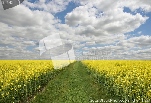 Image of Dirty-track 