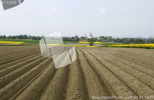 Image of Plowed field 