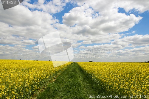 Image of Dirty-track 