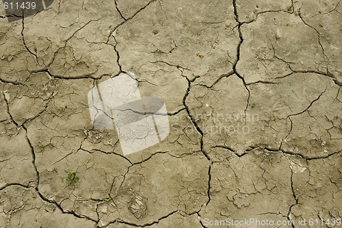 Image of Field after drought