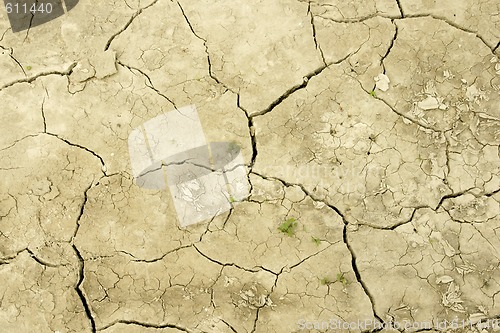 Image of Field after drought