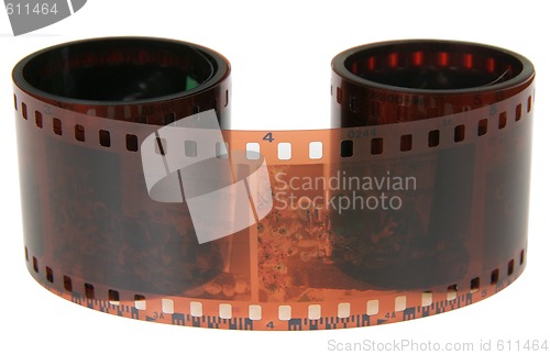 Image of Negative film