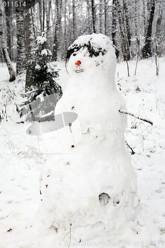 Image of snowman