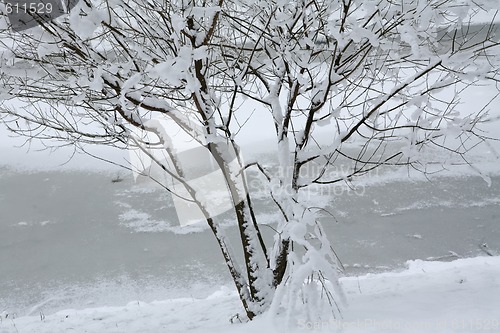 Image of on the frozen riverside