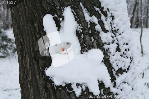 Image of snow hare