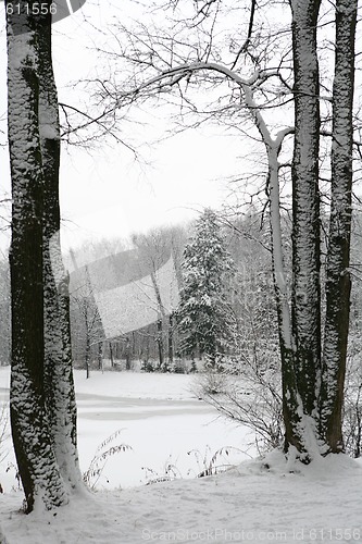 Image of winter landscape