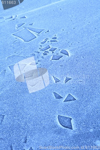 Image of surfaces frozen lake