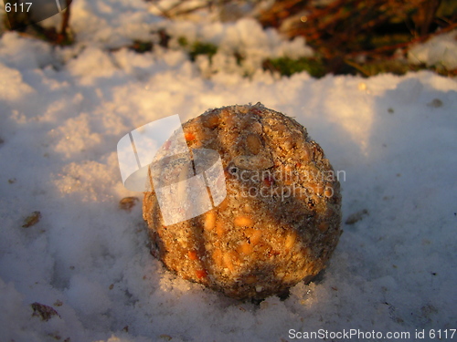 Image of Bird seed