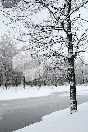 Image of winter landscape