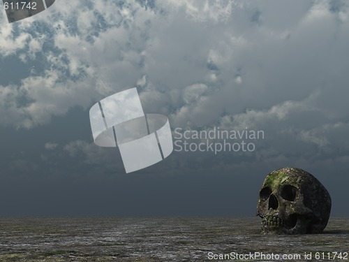 Image of rotten