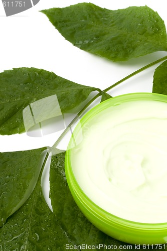 Image of face cream with green leaf 