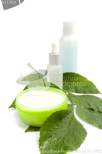 Image of cosmetic products with green leaf