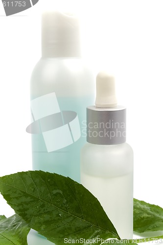 Image of cosmetic products with green leaf