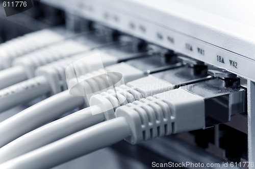 Image of lan cables connected to a switch