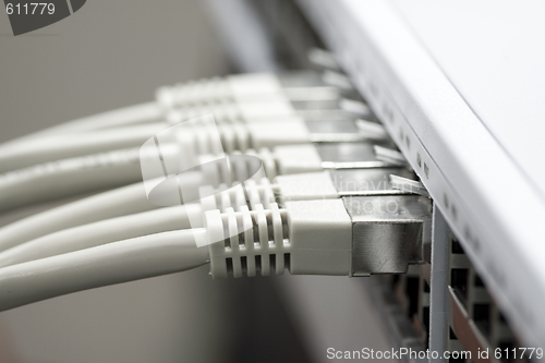 Image of lan cables connected to a switch