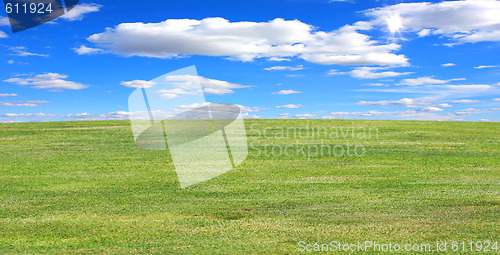 Image of green field in the summer