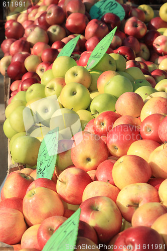 Image of Apples