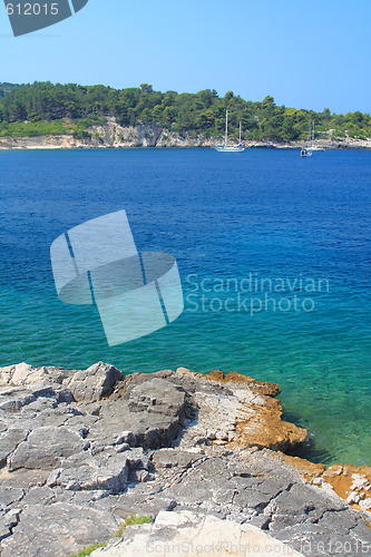 Image of Gaios in Paxos