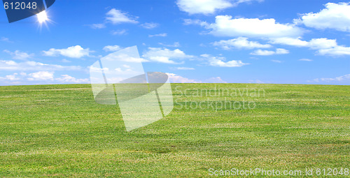 Image of green field in the summer